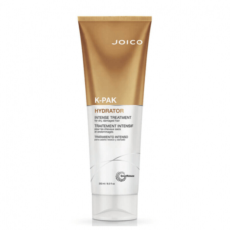 Joico K-Pak Hydrator Intensive Behandlung für feuchtigkeitsspendendes Haar 250ml