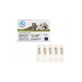 SKIN ENERGY CICATREX 5 fiolek x 3ml