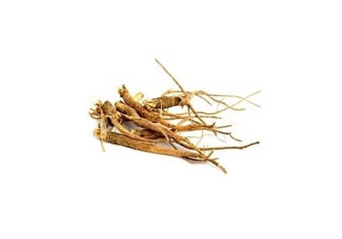 Pfaffia Paniculata Wurzelschneiden Kräutertee