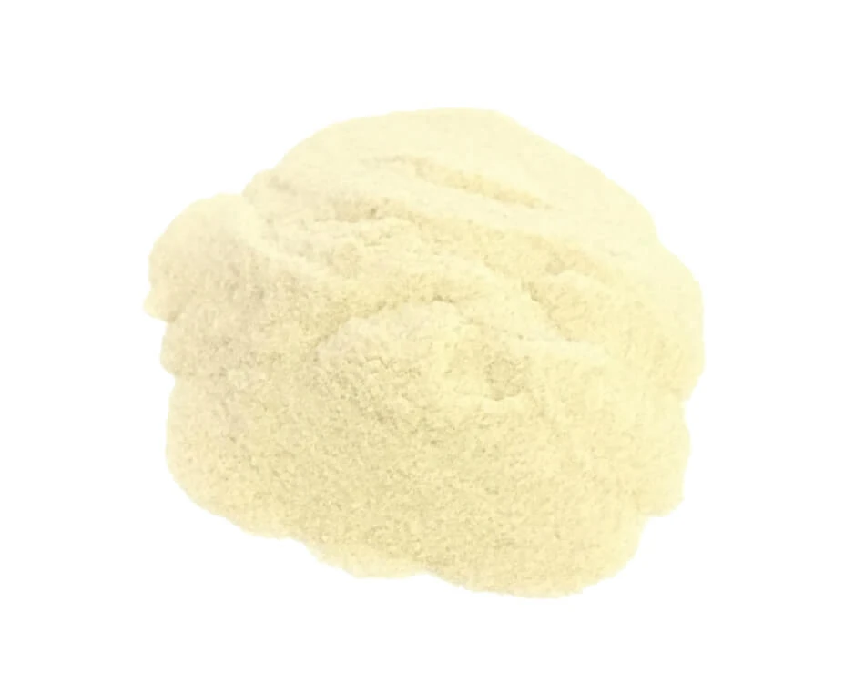 Thallus Agar Agar Pulver 100 g
