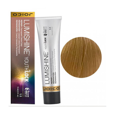 Joico LumiShine YouthLock Crème 10NN Dauerhafte Haarfarbe 74ml