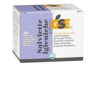 GSE INTIM IGIENIC SAVER MON 20PCS