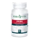 Epilobium 60 kapsułek 350mg Erbavita