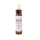 Essences de fleurs de tremble et de cèdre Flacon de 10ml