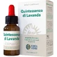 Lavanda Quintessence 10ml