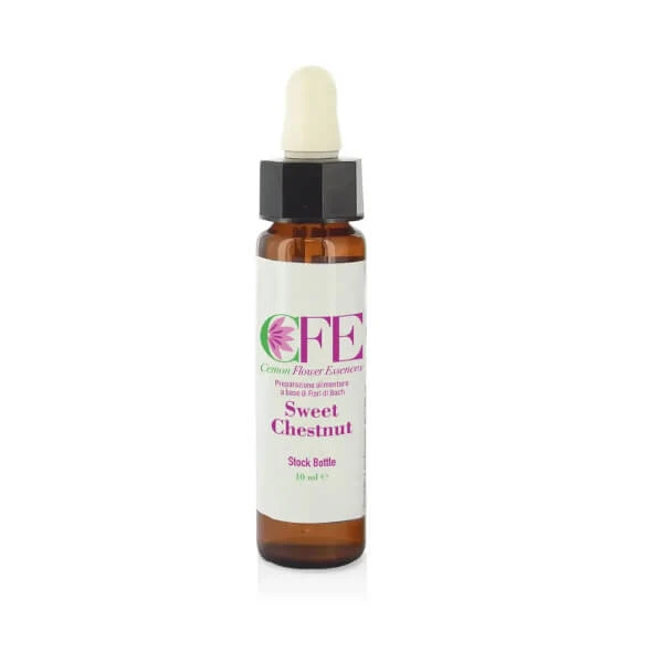 Süßkastanie Cfe Stock Flasche 10ml