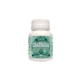 Shatavari Spargel 60cpr