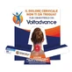 VOLTADVANCE 30CPR ESP 2024