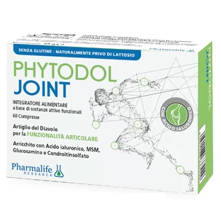 PHYTODOL Joint 60 tabletek