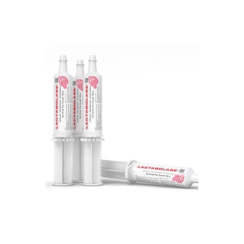 Acme Lactabolase Pferde oral Gel - Ergänzungsfuttermittel für Pferde und Fohlen Sport 100 gr