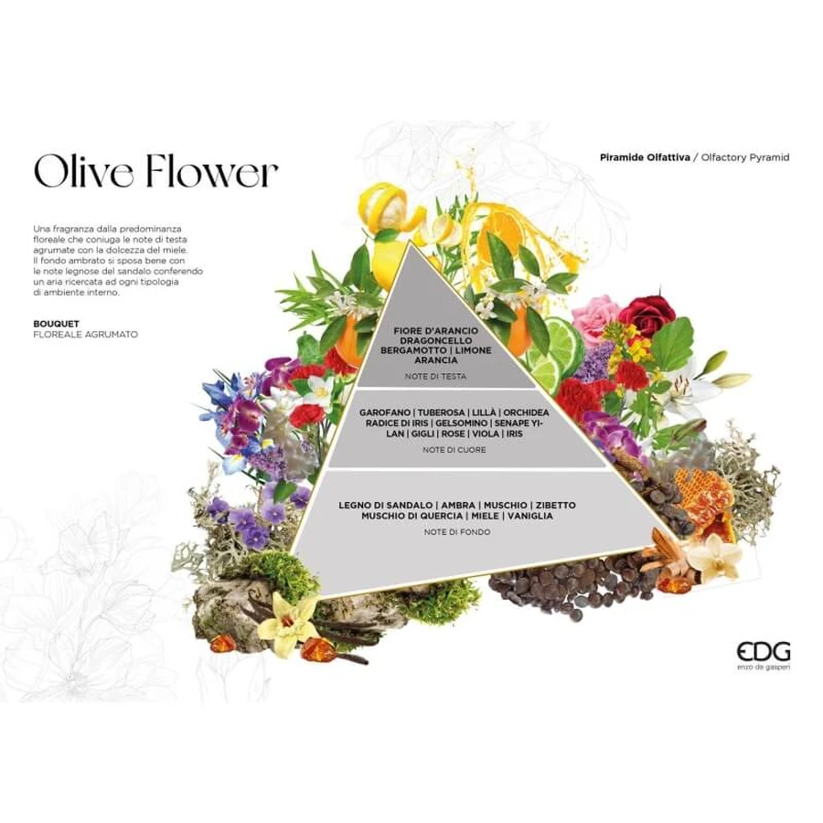 Edg Olive flor - perfumador de ambiente 230 ml