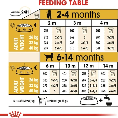 Royal canin Labrador pupy - complete food for labrador retriever puppies 12 kg