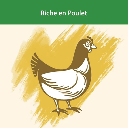 Purina cat chow poulet stérilisé - aliment complet pour chats adultes castrés ou stérilisés 10 kg