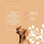Inodorina Sweetypie - parfum doux et durable pour chiens 30 ml