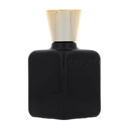 Roberto capucci Anima nera - aftershave 100 ml