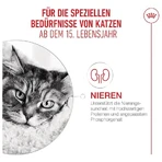 Royal canin Ageing 15 + - alimento seco completo para gatos senior 400 gr.