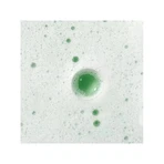 Caudalie Vinoclean - spumă de curățare cu flori de viță de vie 150 ml