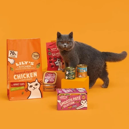 Lily's kitchen Treats kip - kipsnacks voor katten 60 gr.