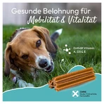 PHA Multivitalstick Câini 7 buc
