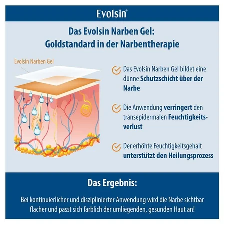 Evolsin Gel Cicatrice 20 g