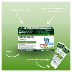 HÜbner Gastrointestinal Direct Gel 15X15 ml