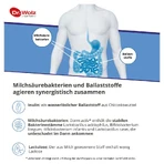 Dr. Wolz Darm activ 209 g