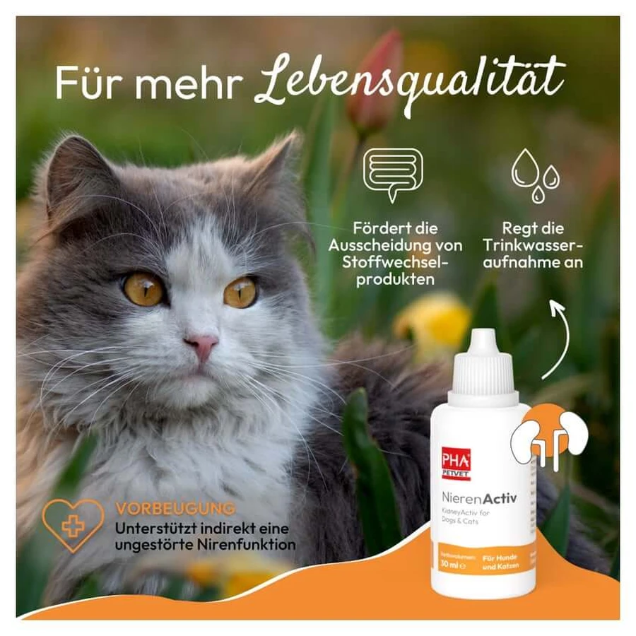 PHA Nierenactiv picături pisici 30 ml