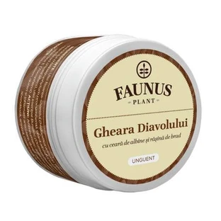 UNGUENTO ALL'ARTIGLIO DEL DIAVOLO 50 ML