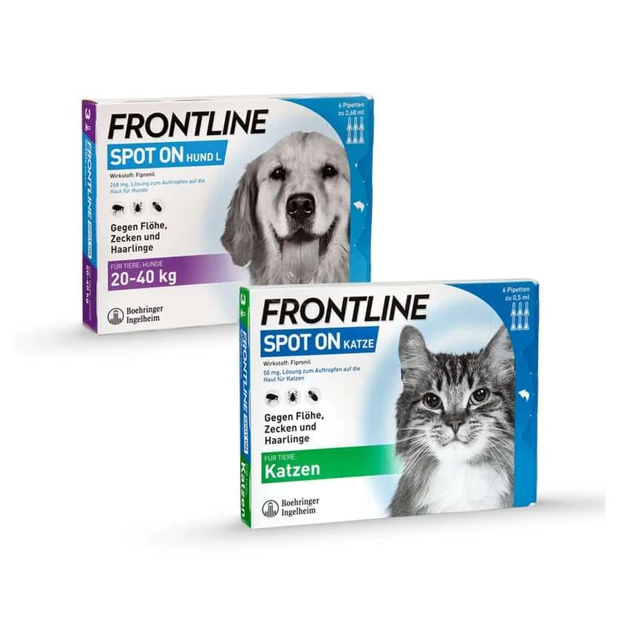 FRONTLINE set economic 1 set