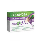 Fleximobil Colagen Boost, 10 plicuri, Fiterman