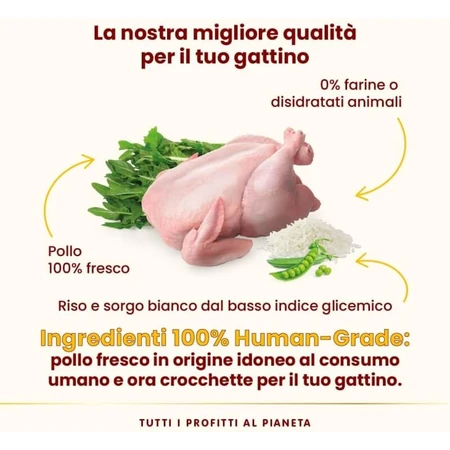 Almo Nature HFC Our Best Kitten Chicken - Pienso completo para gatitos, 1,2 kg