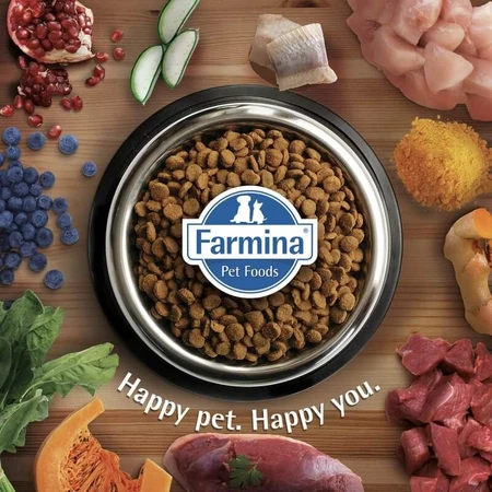 Farmina N&amp;d Pumpkin Puppy Medium &amp; Maxi à l'agneau - Aliment complet pour chiots, 2,5 kg