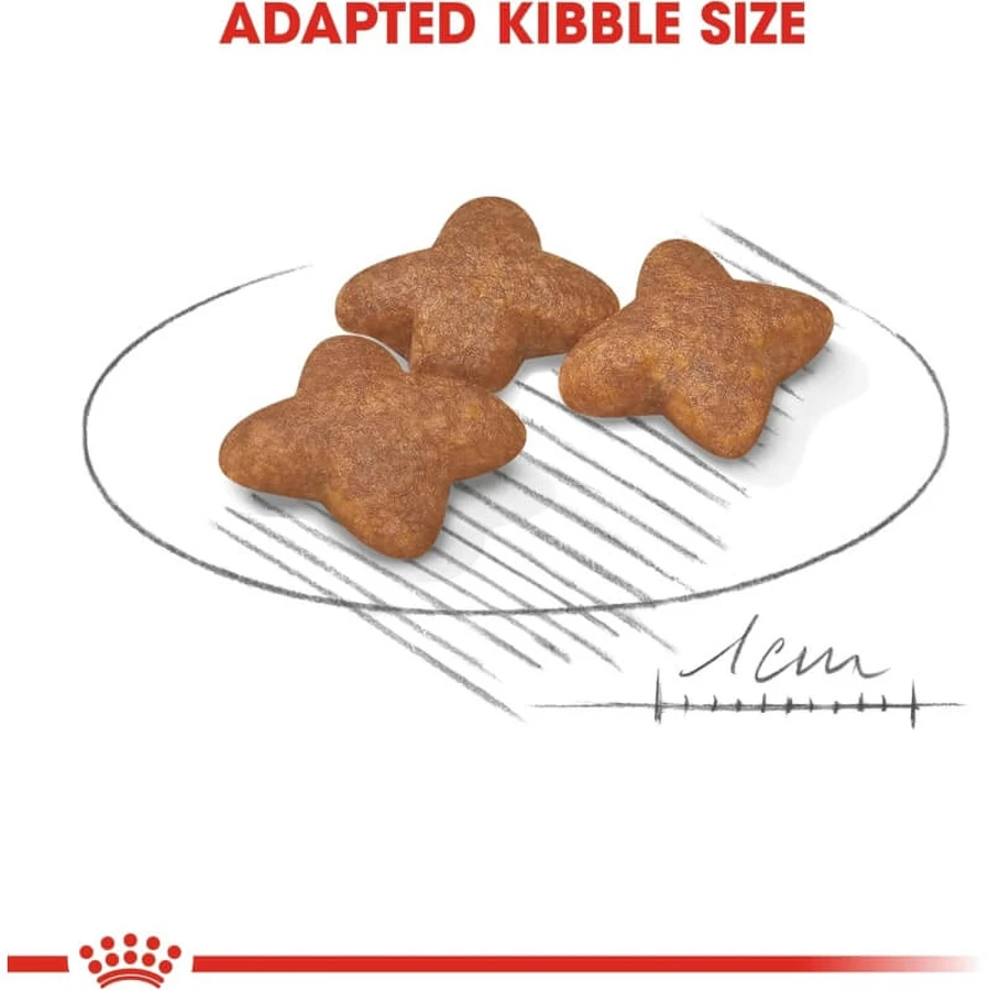 Royal Canin Mini Adult - Alimento completo para perros adultos de razas pequeñas, 8 kg