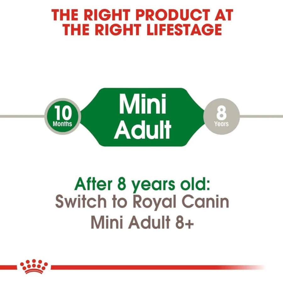 Royal Canin Mini Adult - Alimento completo para perros adultos de razas pequeñas, 8 kg