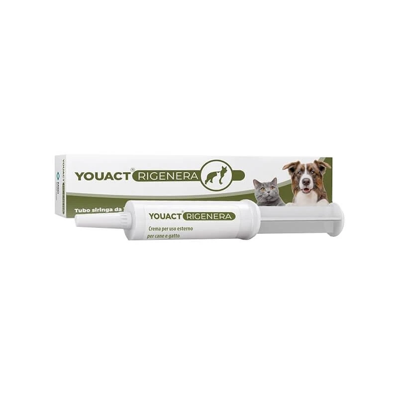 Msd Animal Health Rigenera – Regenerierende Hautcreme für Hunde und Katzen, 10 g