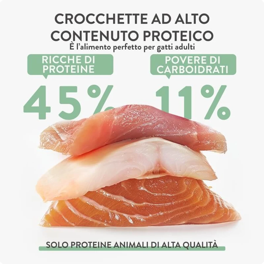 Schesir Born pentru pisici carnivore, cu pui, hering și somon – hrană completă pentru pisici adulte, 255 gr