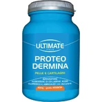 Ultimate Italia Proteo Dermina 450 g – Nahrungsergänzungsmittel für Haut und Knorpel