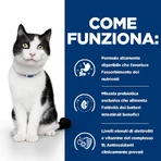 Hill's Prescription Diet i/d Digestive Care Huhn & Gemüse – Nassfutter für Katzen mit Verdauungsproblemen, 82 g