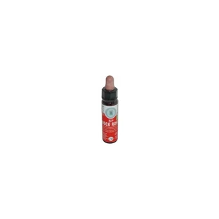 26 Rock Rose 10 ml – Bachblüten