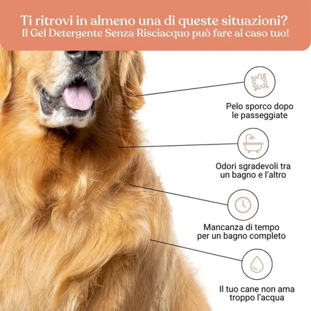 Gel nettoyant sans rinçage au parfum de pêche pour chiens de la marque Bau Cosmetics, 250 ml