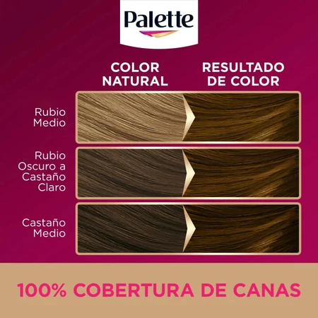 Palette Intensive creme color – vopsea permanentă de păr nr. 5.5, castaniu strălucitor