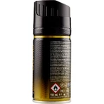 Malizia Gold - Men's Deodorant Spray, 150 ml