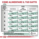 Royal Canin Satiety Weight Management – hrană completă pentru pisici adulte, destinată controlului greutății, 400 g