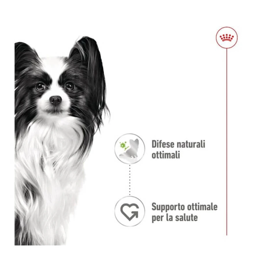 Royal Canin X--small adult – hrană completă pentru câini adulți de talie foarte mică, 85 g