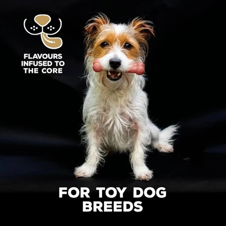 Tasty Bone Tasty Bone puppy-speeltje - puppy-speeltje met spekaroma