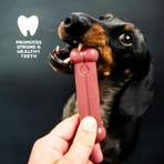 Tasty Bone Tasty Bone puppy-speeltje - puppy-speeltje met spekaroma