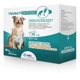 Msd Animal Health Youact Entero - Probiotic Food for Dogs and Cats of All Ages, 60 g