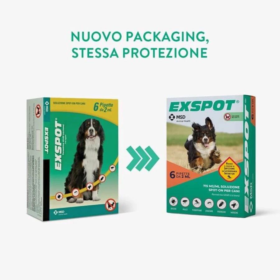 Msd Animal Health Exspot – 6 pipete antiparazitare spot-on pentru câini, de 2 ml fiecare