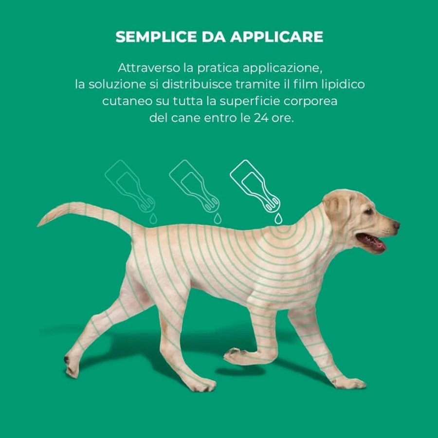 Msd Animal Health Exspot – 6 pipete antiparazitare spot-on pentru câini, de 2 ml fiecare
