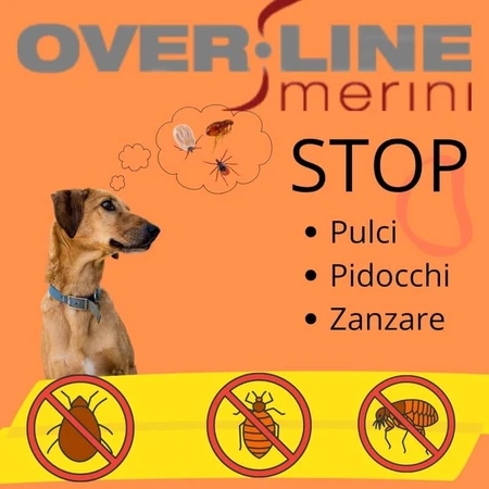 Maurizio Merini Over Line - Desinfecterende shampoo voor huisdieren, 250 ml
